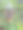 花园里的小菠萝图片下载