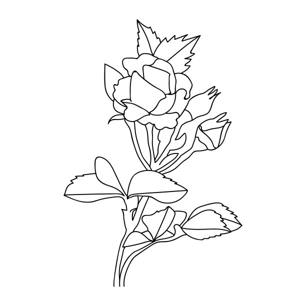简约玫瑰轮廓，写实玫瑰轮廓，线条画写实玫瑰轮廓，玫瑰素描纹身设计，玫瑰素描纹身设计，线条画传统玫瑰纹身设计，传统玫瑰纹身线条画。图片下载