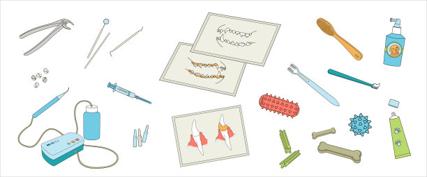 牙科兽医诊所，医疗服务或宠物医疗中心为宠物提供牙科工具和保健牙科设备图片下载