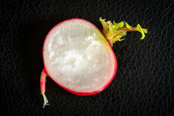 一片新鲜的红萝卜，背景暗图片下载