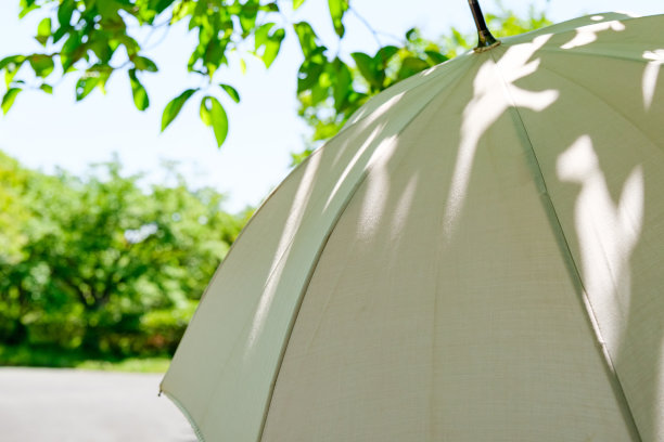 夏日阳光下的白色遮阳伞图片下载