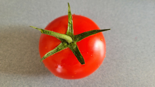 灰色背景上的红番茄图片下载