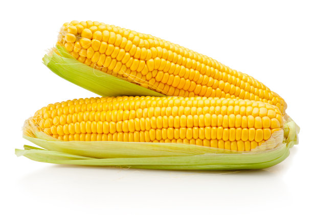 两个玉米穗，叶在白色背景上孤立图片下载