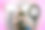 漂亮的网红女孩在色彩缤纷的工作室里拥抱她的狗。图片下载