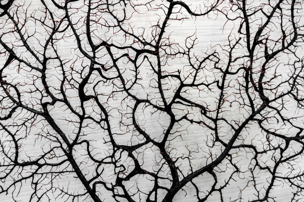 分支机构图片下载