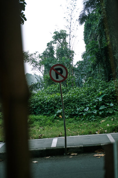 禁止停车标志图片下载