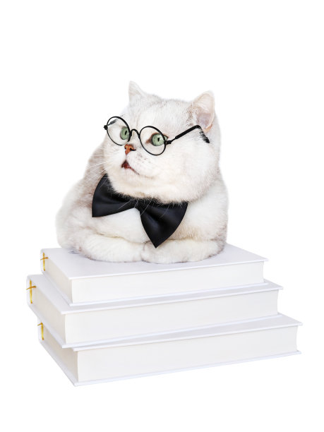 戴眼镜的猫图片下载