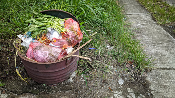 垃圾中的垃圾图片下载