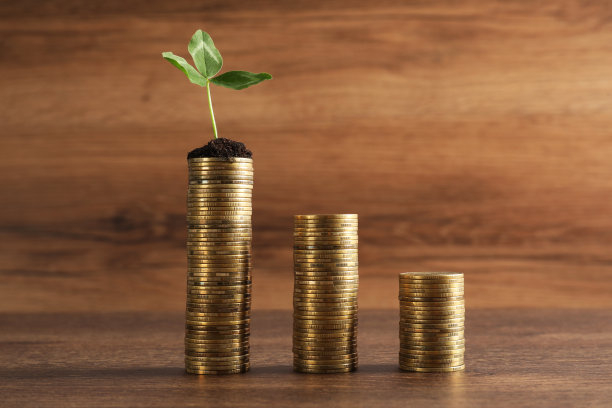 木桌上堆满了硬币和绿芽。投资理念图片下载