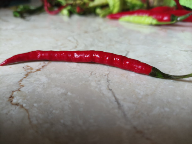 近距离拍摄从市场买来的五颜六色的新鲜辣椒图片下载