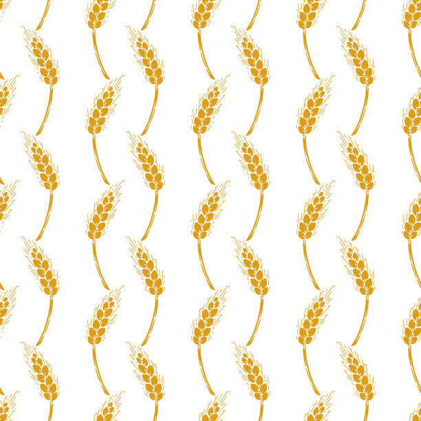 小麦矢量无缝图案的耳朵。谷物穗，大麦或黑麦。适用于包装纸、面包包装、啤酒标签等。图片下载