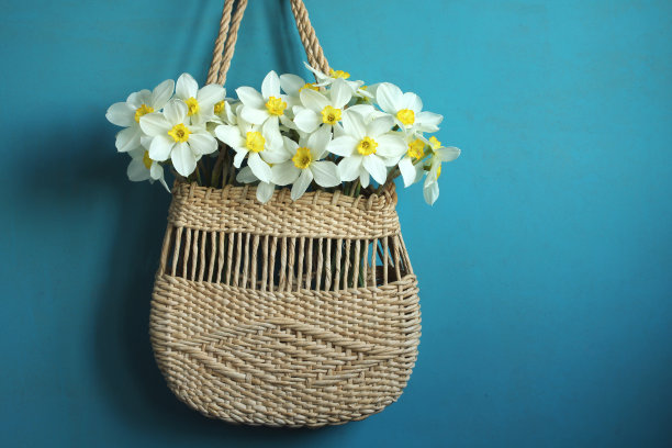 一束花园水仙花在蓝色背景的柳条夏季包。图片下载