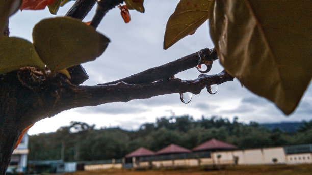 雨点图片下载