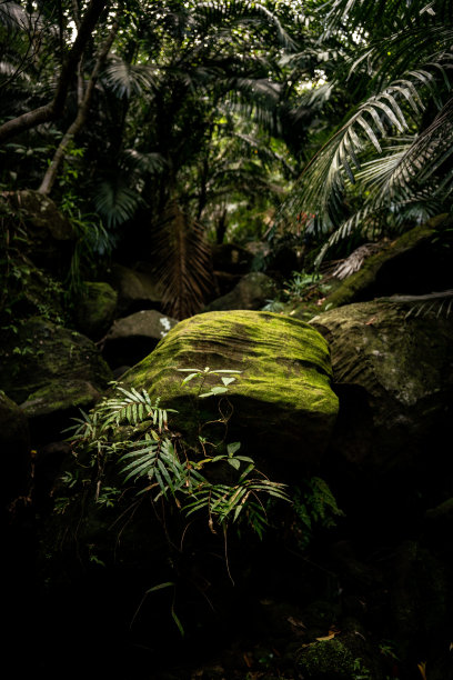 在大自然中发现的艺术图片下载