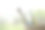 刷子放在纸杯里。油漆刷在使用后是湿的。四支画笔在杯子里。图片下载