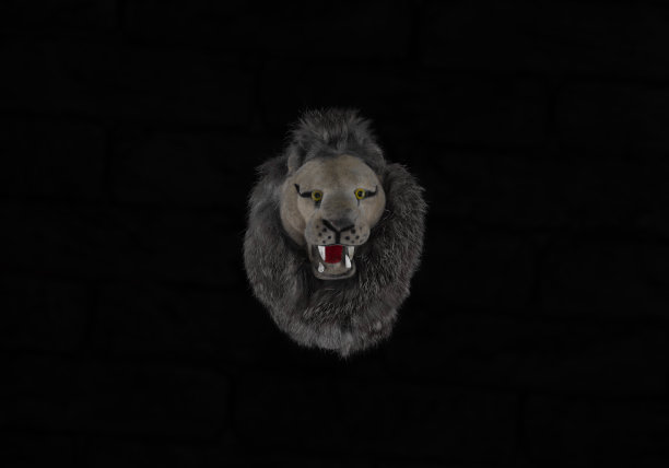 黑底狮冠图片下载