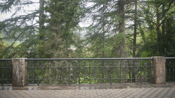 树木停在金属栏杆后面图片下载