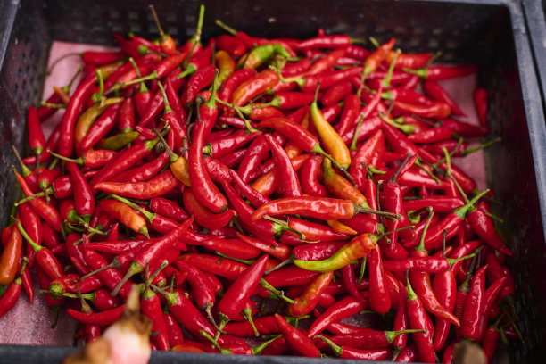 小辣椒在台湾传统市场图片下载