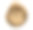 Marine animal mollusk fossil impint图片下载