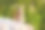 花栗鼠坐在岩石上看着摄像机图片下载