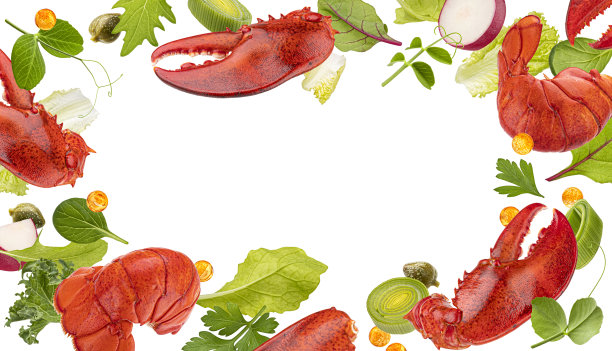 海鲜框架，龙虾的爪子和尾巴孤立在白色的背景图片下载