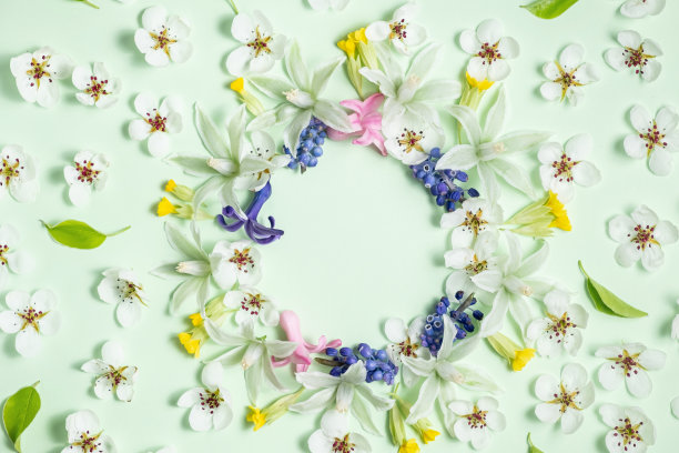 在白色的背景上平铺着春花的框架。从上面看，复制空间。美丽的花朵图案，柔和的色彩图片下载