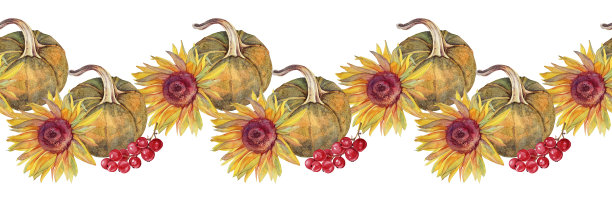 无缝边框与水彩秋季食品。黄色的花，向日葵，南瓜和加仑在白色的背景。季节性饮食为框架。用于纺织品婚礼庆典或包装的手绘边框图片下载