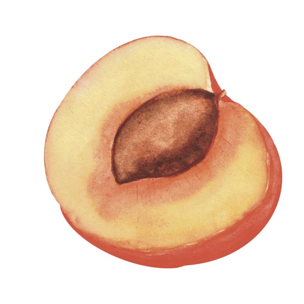 半个无花果图片下载