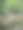 热带森林中的小溪图片下载