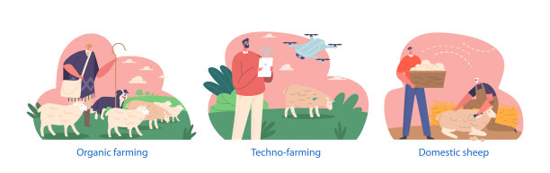 农民角色培育和饲养绵羊，照顾羊群的健康，提供食物和住所，管理育种图片下载