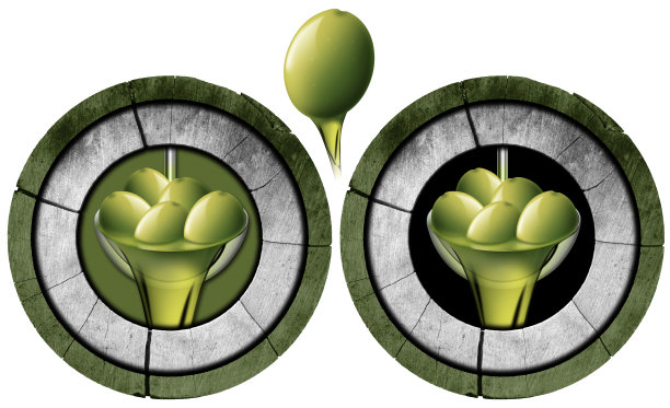 带有绿橄榄和油的木制标志-复制空间孤立在白色上图片下载