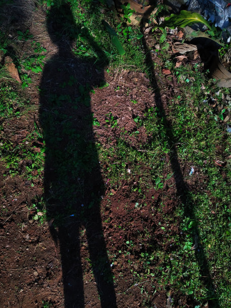 一个女孩的影子站着图片下载