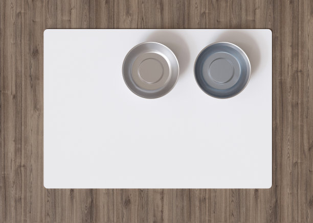 空白的白色宠物碗垫在家里的地板上。猫或狗粮垫与复制空间的图片或文字。水垫模型。宠物餐垫模型。小狗喂食处。3 d渲染。图片下载