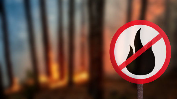 森林内禁止使用营火标志。保护环境。图片下载