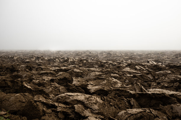 肥沃的深色土壤，翻耕后的田地图片下载