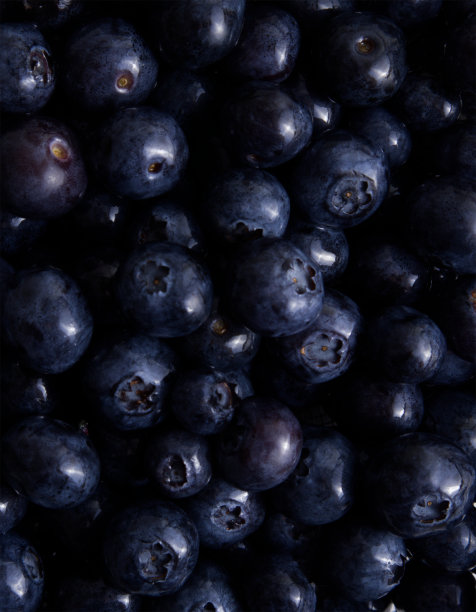 新鲜采摘的蓝莓特写俯视图图片下载