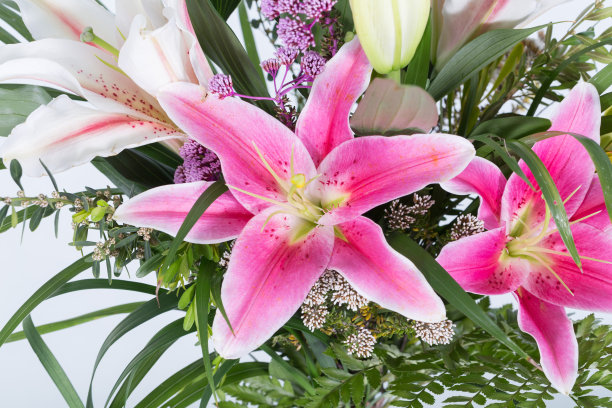 美丽的鲜花作为礼物，花瓶，贵重物品图片下载