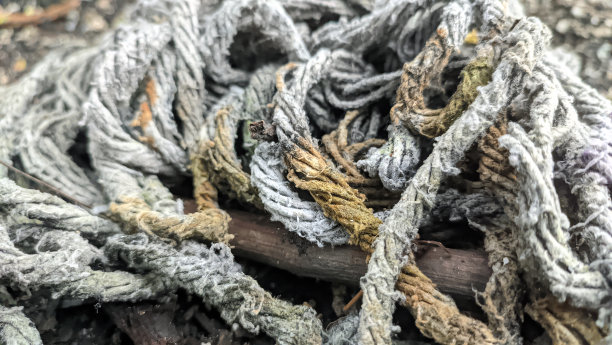 脏抹布图片下载