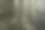 亚齐的纳甘拉亚保护林图片下载