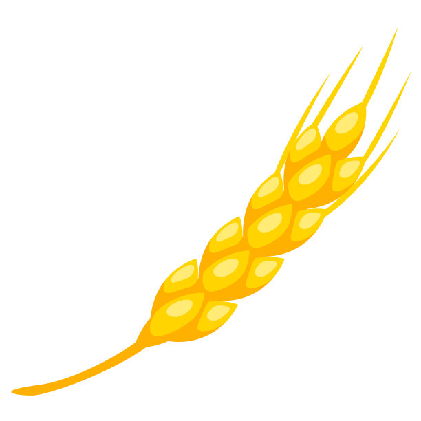 小麦的农业形象与图片下载