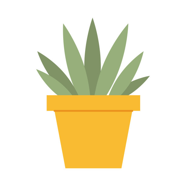 黄色花盆里的室内植物图片下载