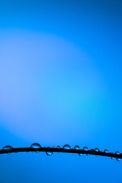 叶子上的水滴图片下载