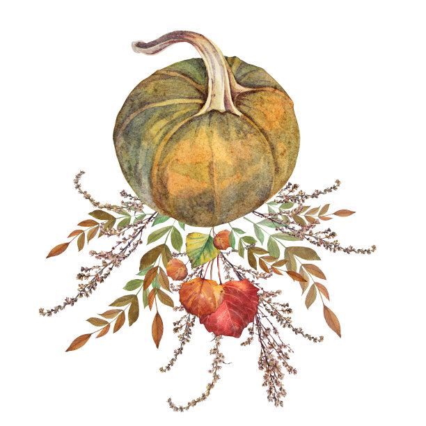 水彩画秋日布置。花束与树叶和南瓜孤立在白色背景。季节性的食物。创意手绘剪纸纺织品明信片，婚礼庆典或包装图片下载