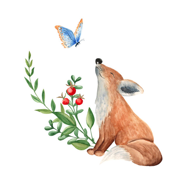 可爱的小狐狸与蝴蝶，绿色的树枝和红色的浆果。水彩手绘插图孤立的白色背景。可用于贺卡、请柬、婴儿海报、衣服、t恤印花、贴纸。图片下载