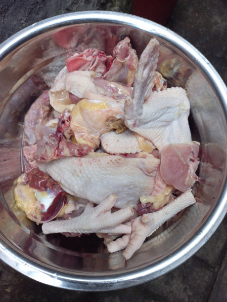 生肉鸭图片库存照片图片下载