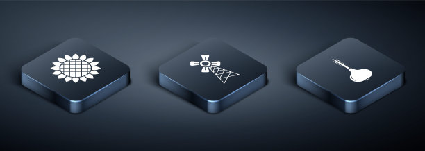 设置等距向日葵，洋葱和风车图标。向量图片下载