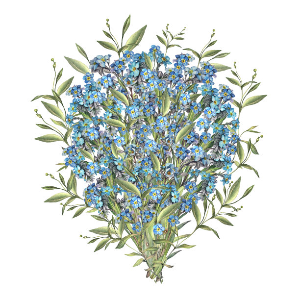 水彩婚礼花束与勿忘我-不孤立的白色背景。春夏花写生本和卡片。手绘剪贴画墙纸或包装。浪漫元素图片下载