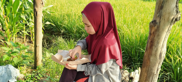 在稻田里吃早餐图片下载