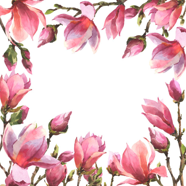 水彩框架与分支的粉红色玉兰，模板与空白的地方为您的文字，孤立在一个白色的背景。婚礼卡片。图片下载