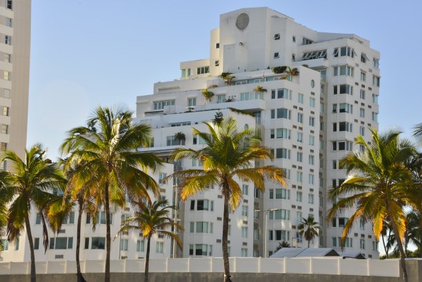 带有棕榈树的装饰艺术建筑图片下载